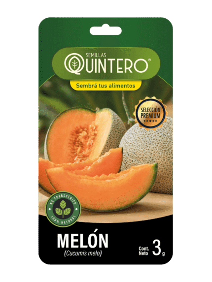 Melón 4g