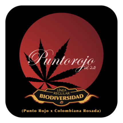 Punto Rojo x Colombiana Rosada Black Tuna x10 Regualar