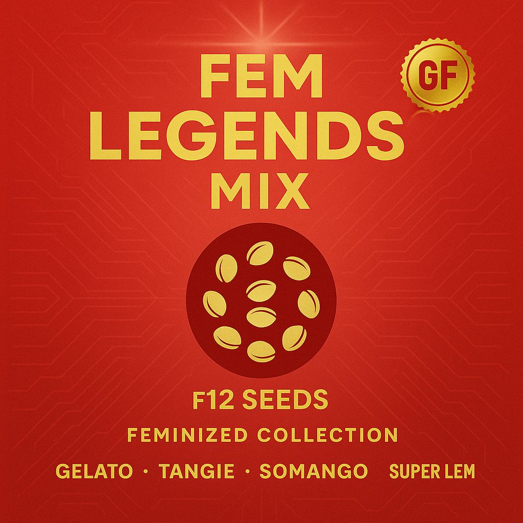 WhatsApp Image 2025-08-20 at 10.28.22 PM