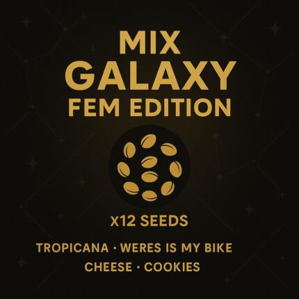 MIX GALAXY FEM EDITION – GRANEL SEEDS - X12