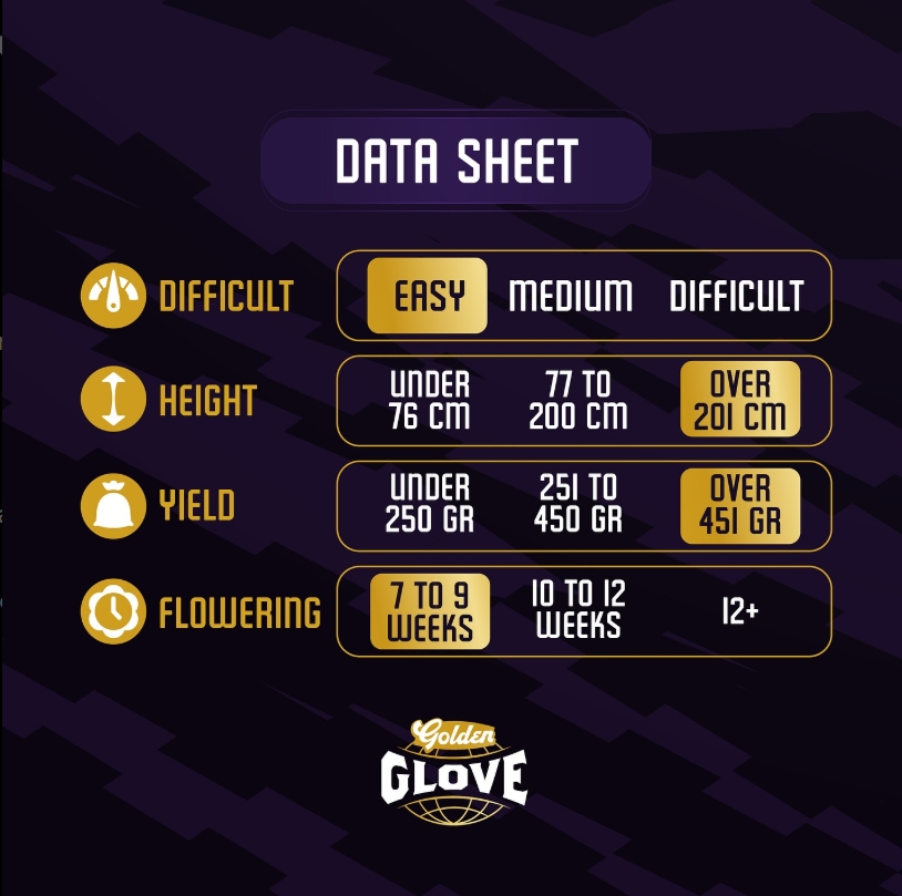 Captura de pantalla_26-9-2025_1954_www.instagram.com