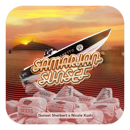 Samarian sunset X5 - Black Tuna
