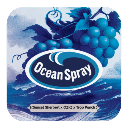 Ocean Spray X5 - Black Tuna