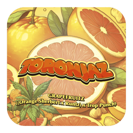 Toronjaz X5 - Black Tuna