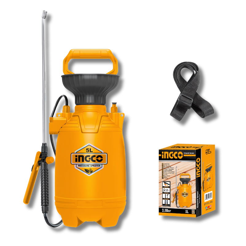 800x800-2024-07-26T234623.729