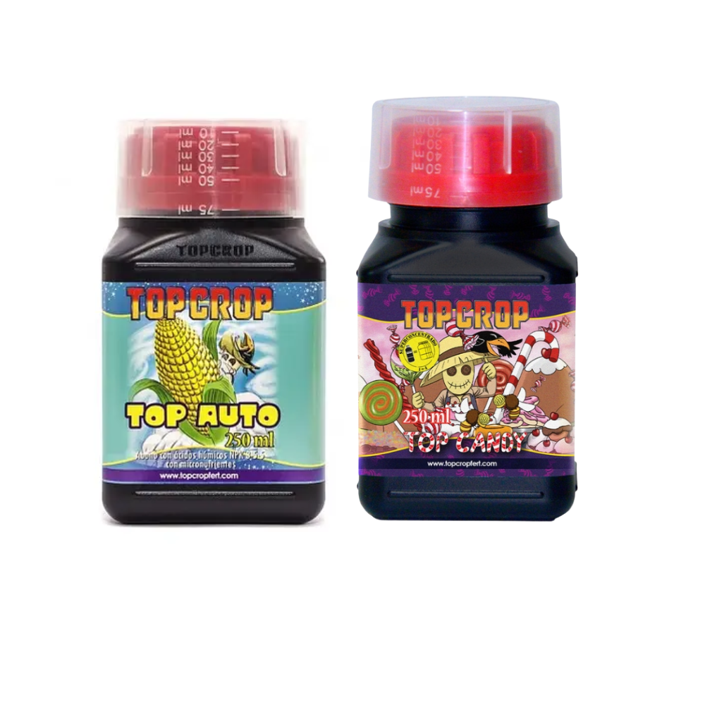 Diseño sin título.zip - 1