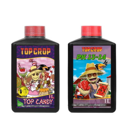 Pack Engorde Máximo – Top Crop PK 13-14 + Top Candy (1L) + 2 semillas de regalo