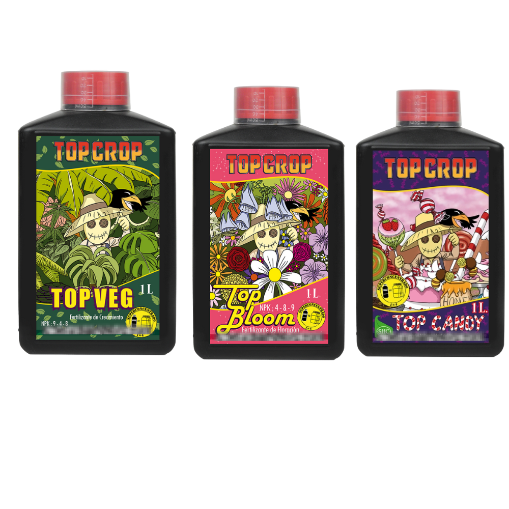 Diseño sin título.zip - 4