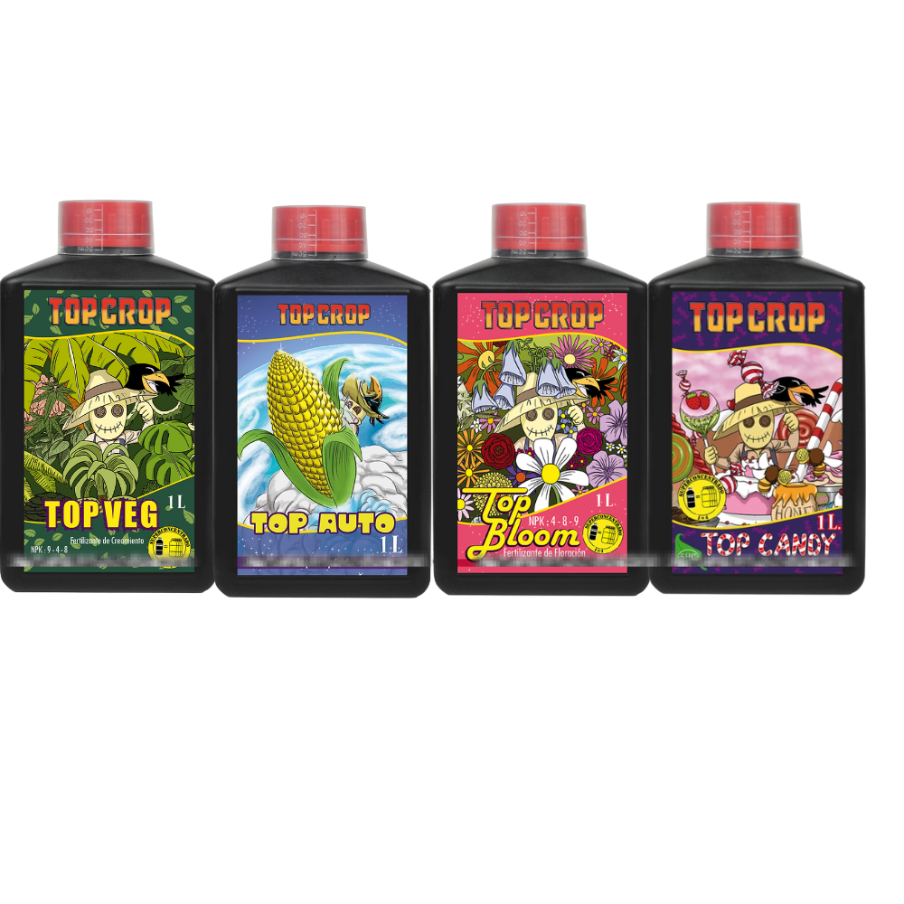 Diseño sin título.zip - 6