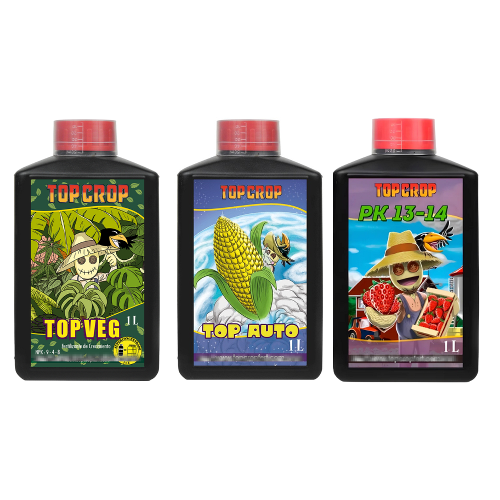 Diseño sin título.zip - 7