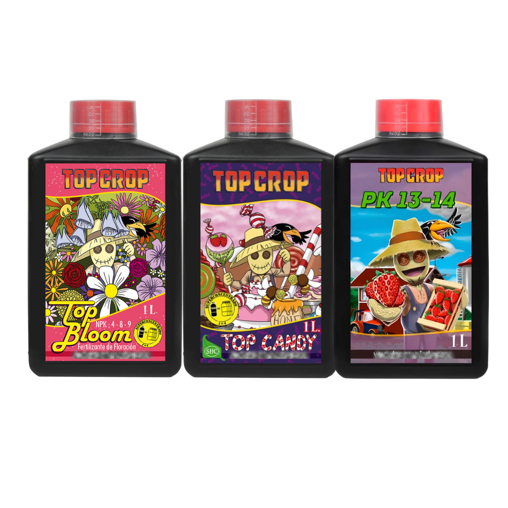 Diseño sin título.zip - 9