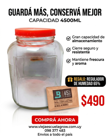 Frasco de vidrio con tapa de plastico