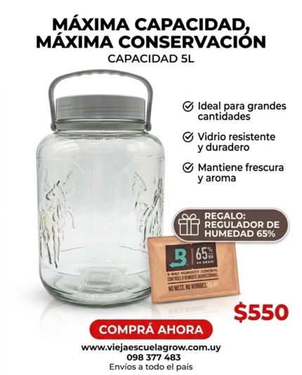 Frasco de vidrio con tapa de plastico