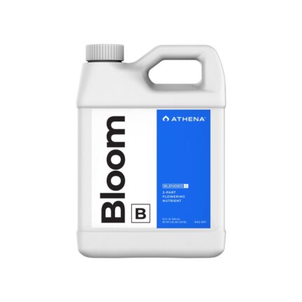 Athena Bloom A 0,95 Litros