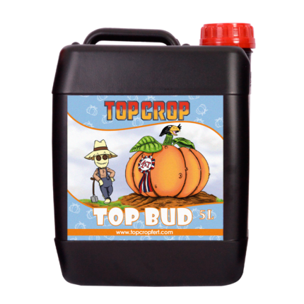 Top Bud 5L + semilla de regalo