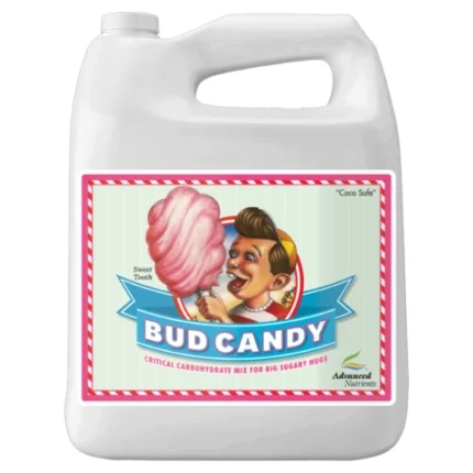 Bud candy advanced 10L+ semilla de regalo