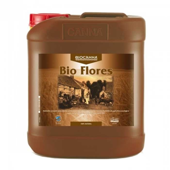 18610005