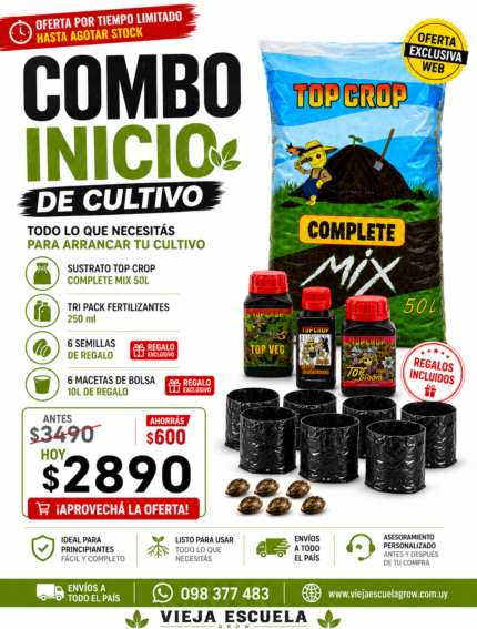 Combo otoñal 2