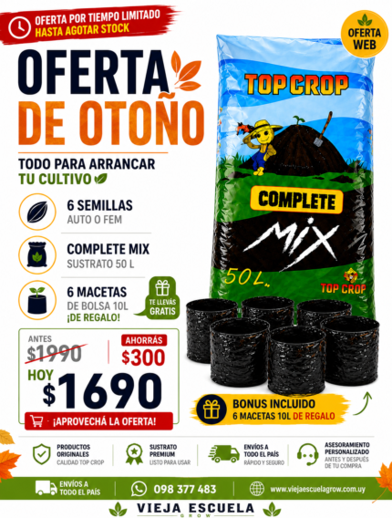 Combo otoñal 1