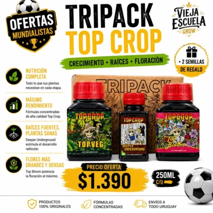 Combo Temporada #1