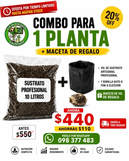 Combo Temporada 9