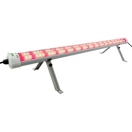 Lucius 120W LM 301H EVO Under Canopy LED Tube
