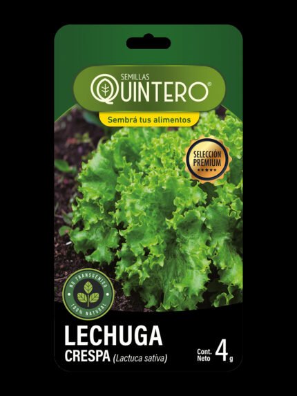 Lechuga crespa 4g