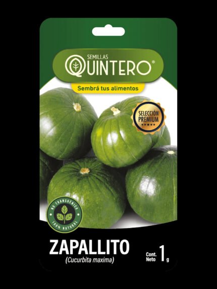 Zapallito 1G