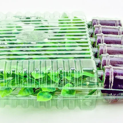 Blister porta clones y plantulas