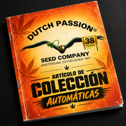 Coleccion Dutch passion auto Skywalker Haze x3